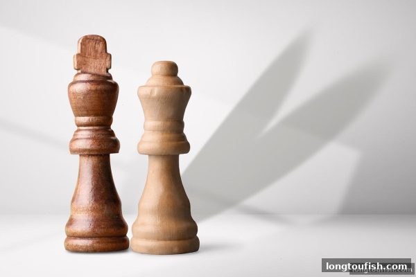 从龙王捕鱼看桥牌：核心规则、策略体系与竞技魅力