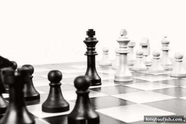 龙王捕鱼麻将策略精讲：概率、规划与实战决策