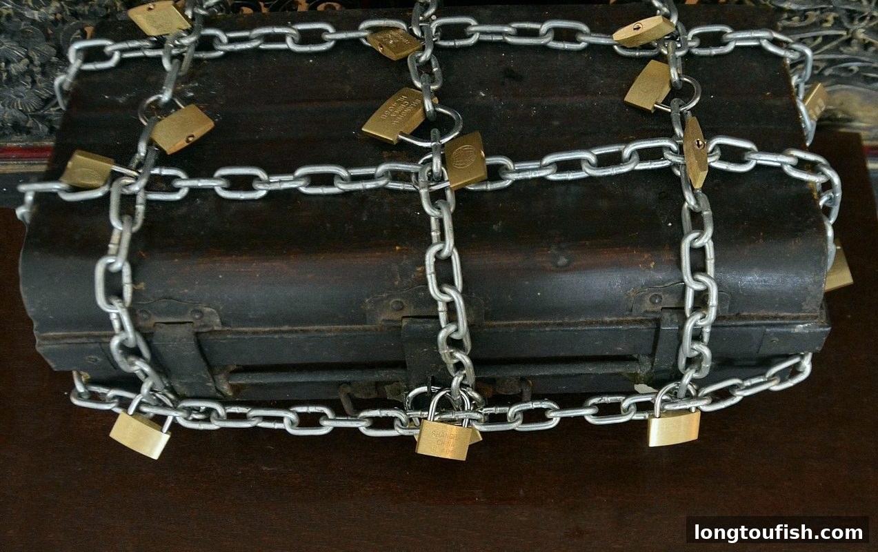 亚冠观赛避坑指南：龙王捕鱼教你识别直播陷阱，安全畅享体育盛宴