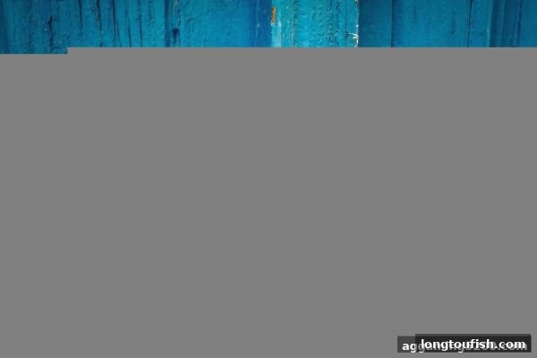 龙王捕鱼带你读懂马耳他牌照：游戏合规的国际标杆