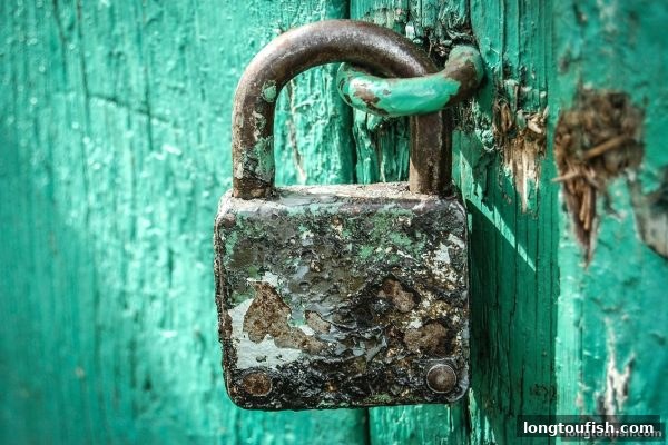 龙王捕鱼深度解析：代理返佣模式的选择陷阱与避险指南