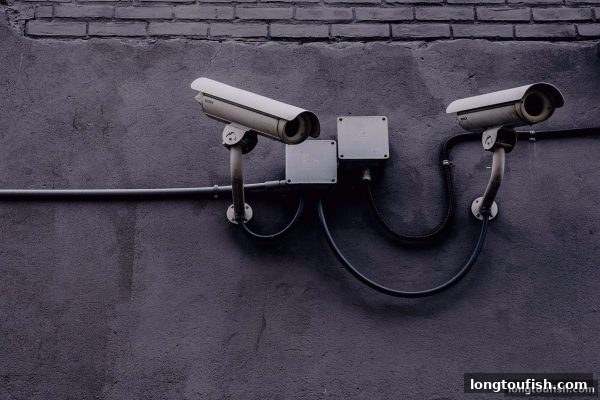 【龙王捕鱼】全面指南：血战麻将与百家乐路单的避险策略与理性解析