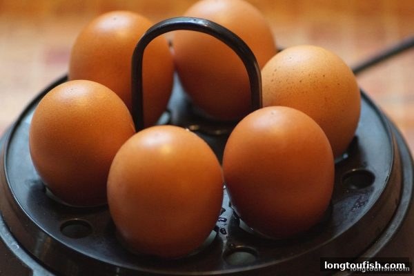 龙王捕鱼捕鱼炮台盈利揭秘：从概率模型到链上生态的全景解读